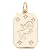 Zodiac Charms