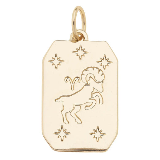 Zodiac Charms