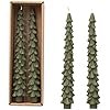 Unscented Tree Shaped Taper Candles w/ Gold Tips - Cedar