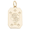 Zodiac Charms