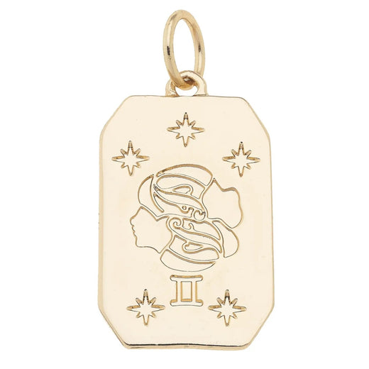 Zodiac Charms