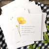 Truth For Today Cards by Emily Lex