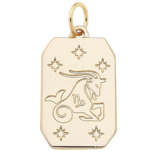 Zodiac Charms