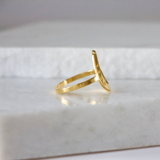 Lucky Horseshoe Ring