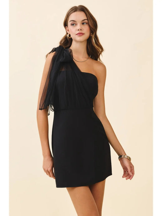 One Shoulder Sheer Chiffon Bow Detail Mini Dress