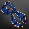 Equestrian Western Horse Twilly Satin Scarf