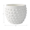 Ceramic Raised Dot Planter