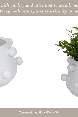 Ceramic Bubble Planter