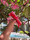 Deco Sunglasses