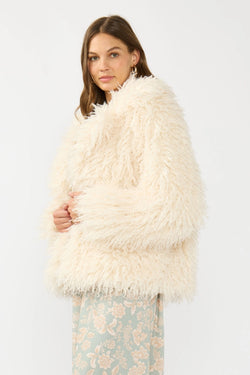 Shaggy Fur Coat