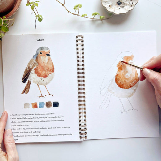 Birds Watercolor Workbook by Emily Lex