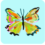 Summerfly Coasters Set of 4