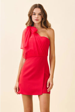 One Shoulder Sheer Chiffon Bow Detail Mini Dress