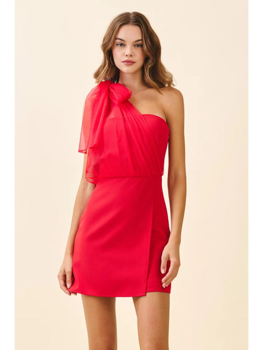 One Shoulder Sheer Chiffon Bow Detail Mini Dress