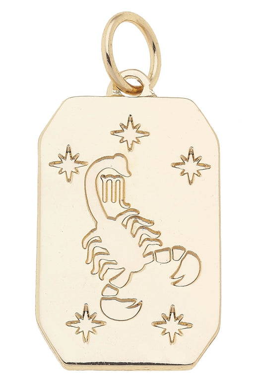 Zodiac Charms