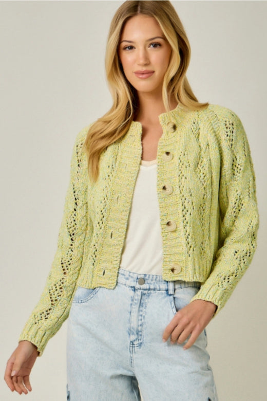 Multicolor Cable Knit Cardigan