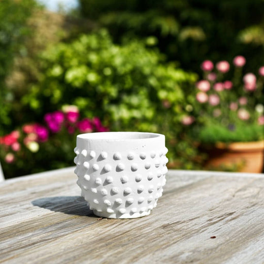 Ceramic Raised Dot Planter