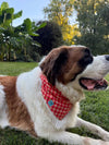 Plaid Fringe Dog Bandana