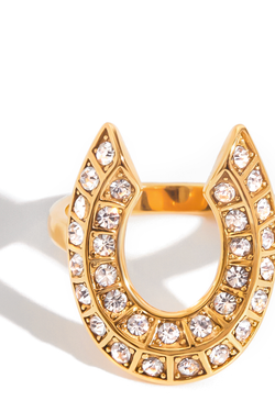 Lucky Horseshoe CZ Ring, 14K Steel 