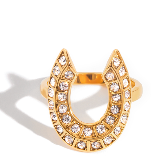 Lucky Horseshoe CZ Ring, 14K Steel 