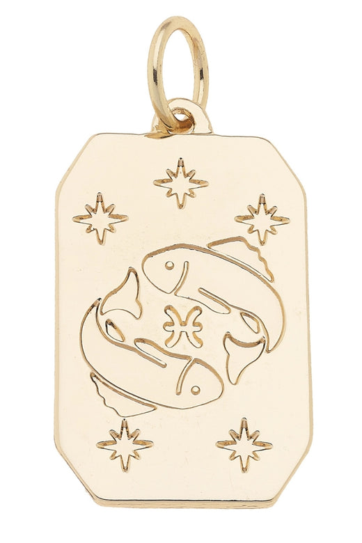 Zodiac Charms