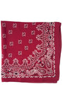 24 x 24 in Bandana