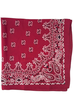 24 x 24 in Bandana