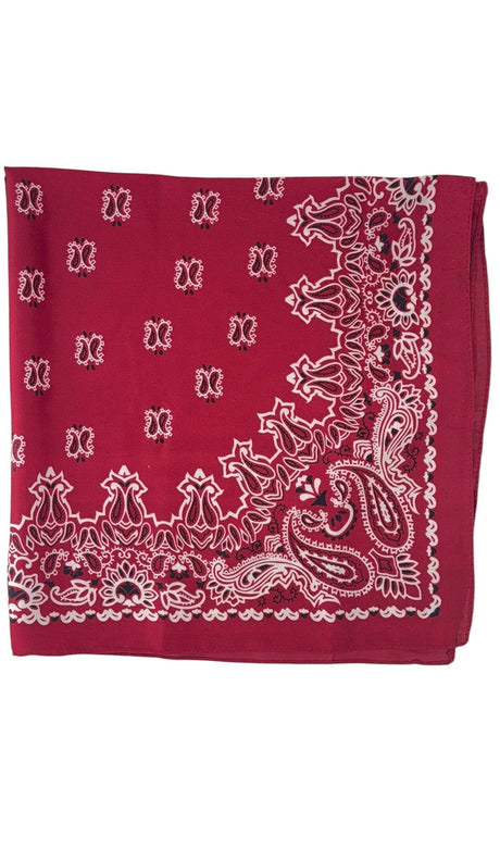 24 x 24 in Bandana