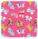 Summerfly Coasters Set of 4