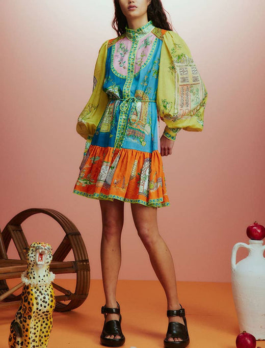 Balloon Sleeve Print Mini Dress