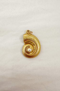 Spiral Pearl Conch Shell