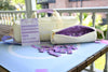 Wanderlust Tiles Travel Bundle