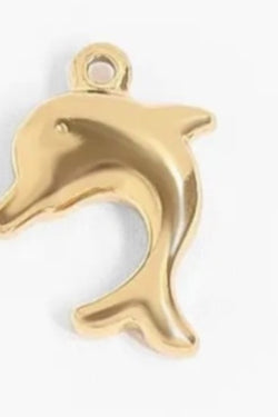Dolphin