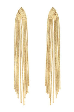 Metal Tassel Earrings