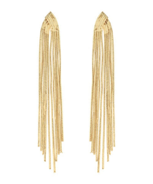 Metal Tassel Earrings