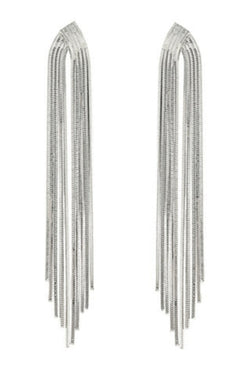 Metal Tassel Earrings