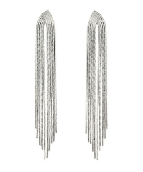Metal Tassel Earrings