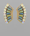 Glass Stone Wing Earrings