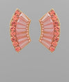 Glass Stone Wing Earrings