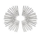 Textured Spike Wing Earrings
