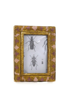 Small Florentine Pink Frame