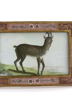 Florentine Frame