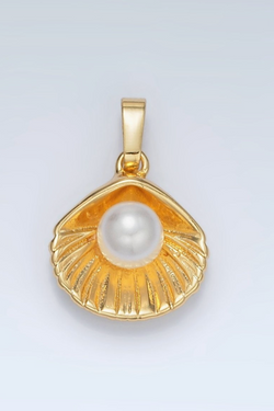 Pearl Clam Sea Shell