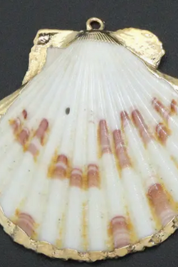 Clam Shell in Gold