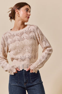 Pointelle Knit Long Sleeve Sweater Top