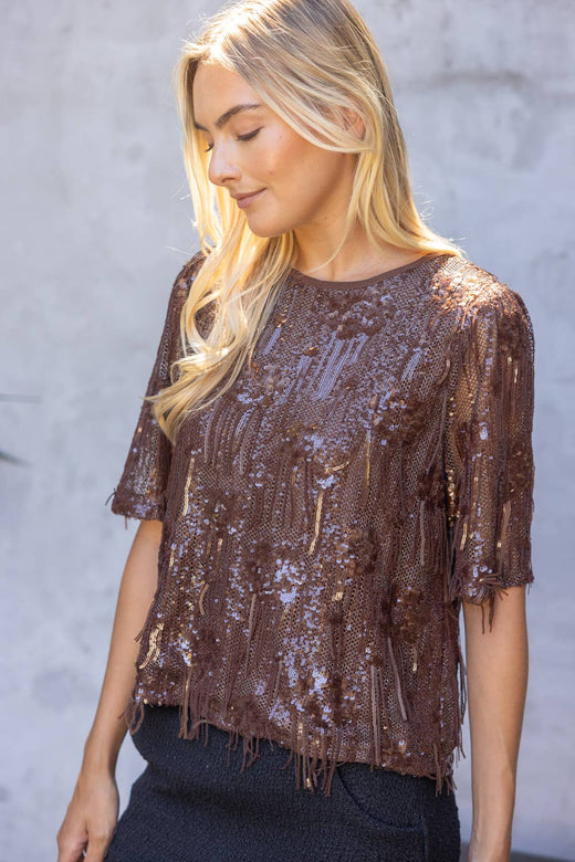 Round Neck Short Sleeve Sequin Top