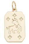 Zodiac Charms