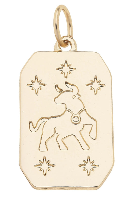 Zodiac Charms