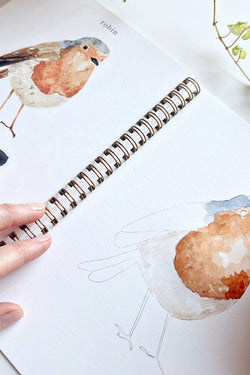 Birds Watercolor Workbook by Emily Lex