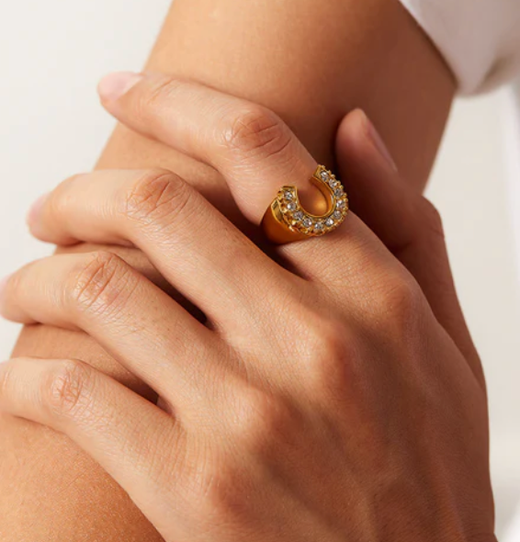 Lucky Horseshoe Signet RIng